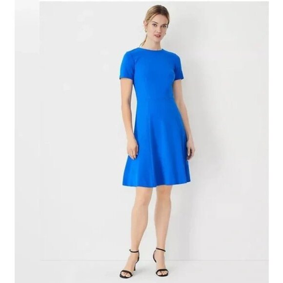 Ann Taylor Paneled Flare Dress 4 - Picture 1 of 3